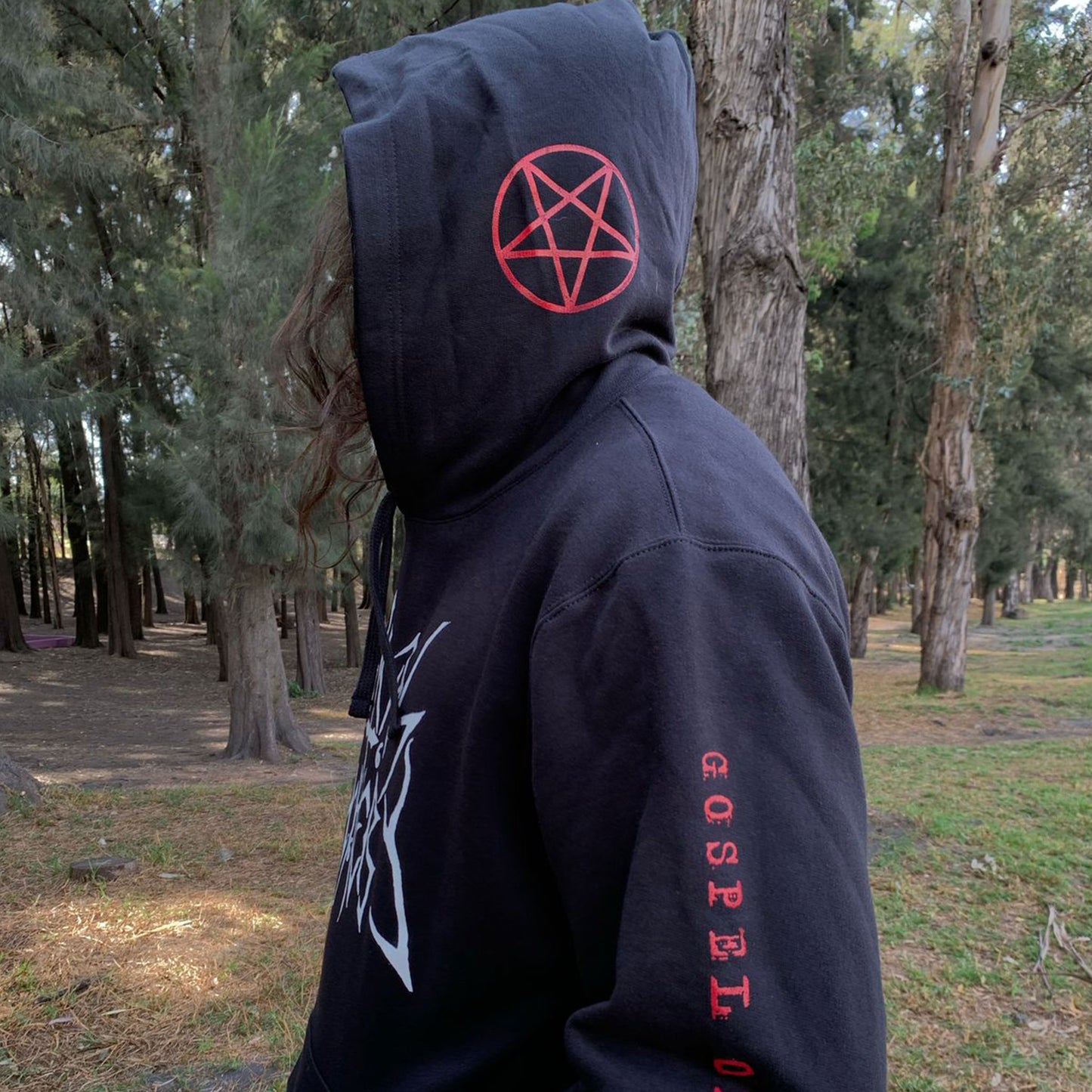 Gospel of the Insane Pullover Hoodie