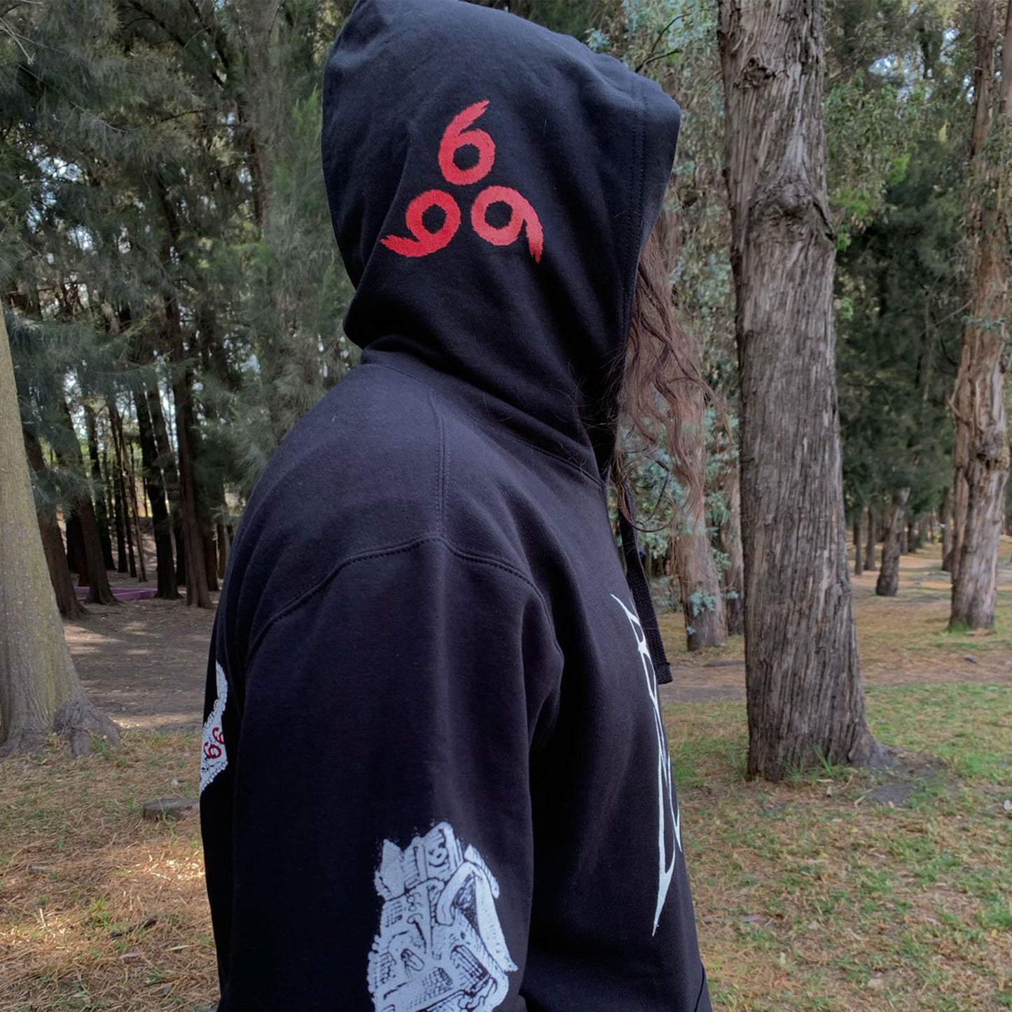 Gospel of the Insane Pullover Hoodie