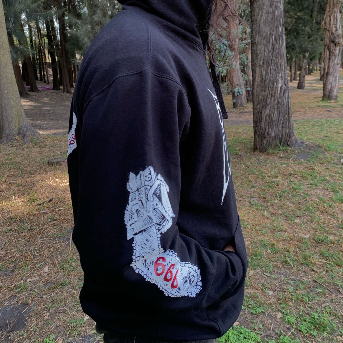 Gospel of the Insane Pullover Hoodie